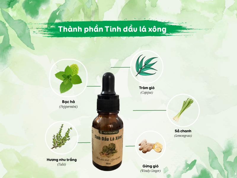 Thành phần có trong tinh dầu lá xông Nguyên Hồng